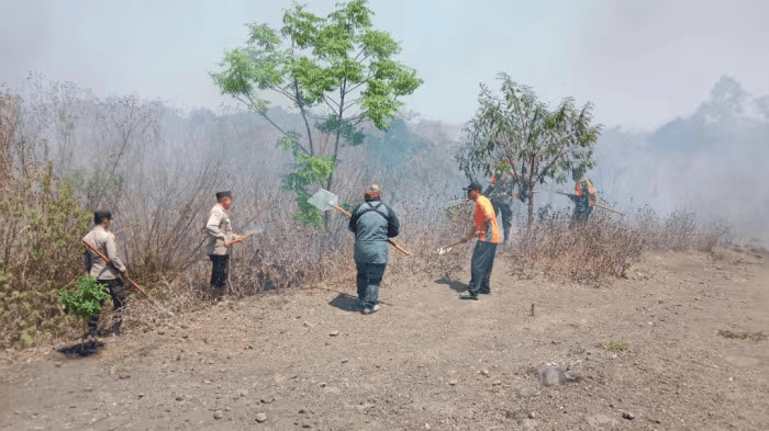 Polres Bondowoso dan Tim Gabungan Padamkan Karhutla di Black Lava Ijen
